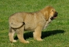Filename=yack3.jpg
Filesize=306KiB
Dimensions=726x500
Date added=%624 %10, %2010 yack3.jpg