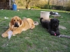 Filename=yang7m2.jpg
Filesize=83KiB
Dimensions=640x480
Date added=%994 %31, %2011 yang7m2.jpg