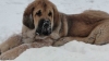 Filename=yaron.jpg
Filesize=296KiB
Dimensions=1067x600
Date added=%670 %26, %2011 yaron.jpg
