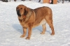 Filename=yness2,5y2.jpg
Filesize=161KiB
Dimensions=800x533
Date added=%033 %15, %2013 yness2,5y2.jpg