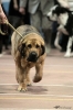 Filename=yness6months.jpg
Filesize=77KiB
Dimensions=400x600
Date added=%860 %23, %2011 yness6months.jpg