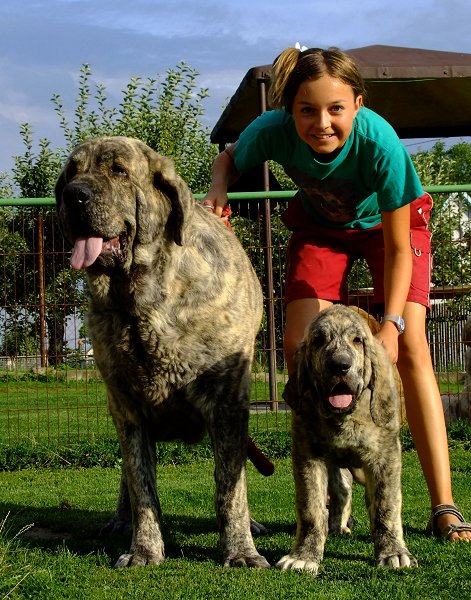 Abuela con nieto / Grandmother with grandson
Eleonore Lu Dareva + Xandon Tornado Erben (12 weeks / 12 semanas)
