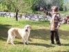 Filename=Campina2.jpg
Filesize=70KiB
Dimensions=800x600
Date added=%538 %06, %2006 Campina2.jpg
