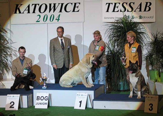 Feya Mastibe (10 months) BOB, BOG JUNIOR
International dog show in Katowice-Poland. Feya Mastibe (10 months) BOB, BOG JUNIOR, judge Luis Pinto Texeira. 
Keywords: show mastibe