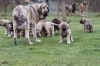 Filename=1.jpg
Filesize=132KiB
Dimensions=850x567
Date added=%600 %25, %2009 1.jpg