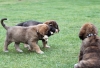 Filename=6.jpg
Filesize=97KiB
Dimensions=829x567
Date added=%599 %25, %2009 6.jpg