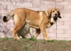 Filename=ala5,5m,.jpg
Filesize=143KiB
Dimensions=697x510
Date added=%671 %02, %2009 ala5,5m,.jpg