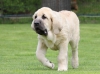 Filename=boy.jpg
Filesize=246KiB
Dimensions=953x709
Date added=%863 %14, %2015 boy.jpg