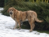 Filename=chany-6m,.jpg
Filesize=141KiB
Dimensions=556x425
Date added=%704 %17, %2008 chany-6m,.jpg