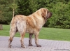 Filename=chica,0.jpg
Filesize=104KiB
Dimensions=810x595
Date added=%649 %21, %2010 chica,0.jpg