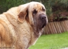 Filename=chica.jpg
Filesize=87KiB
Dimensions=825x595
Date added=%649 %21, %2010 chica.jpg