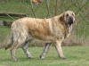 Filename=chica19m6.jpg
Filesize=110KiB
Dimensions=719x539
Date added=%563 %14, %2009 chica19m6.jpg