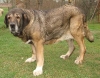 Filename=elba_nearly11ys.jpg
Filesize=70KiB
Dimensions=542x425
Date added=%432 %04, %2006 elba_nearly11ys.jpg