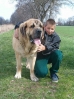 Filename=erny%2Ctomm.jpg
Filesize=76KiB
Dimensions=336x448
Date added=%538 %14, %2006 erny%2Ctomm.jpg