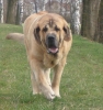 Filename=erny17m.jpg
Filesize=50KiB
Dimensions=354x376
Date added=%625 %14, %2006 erny17m.jpg