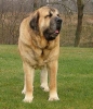 Filename=erny2r2.jpg
Filesize=63KiB
Dimensions=367x425
Date added=%716 %14, %2006 erny2r2.jpg