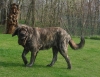 Filename=fatty-nearly6,0.jpg
Filesize=135KiB
Dimensions=660x510
Date added=%806 %07, %2009 fatty-nearly6,0.jpg