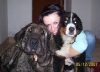 Filename=fatty_mastibe.jpg
Filesize=173KiB
Dimensions=628x453
Date added=%559 %04, %2008 fatty_mastibe.jpg