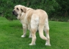 Filename=feya,3.jpg
Filesize=128KiB
Dimensions=700x510
Date added=%615 %17, %2009 feya,3.jpg