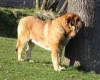 Filename=frenky-brezen0.jpg
Filesize=79KiB
Dimensions=530x425
Date added=%689 %14, %2007 frenky-brezen0.jpg