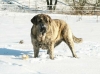 Filename=ginny17m.jpg
Filesize=30KiB
Dimensions=567x425
Date added=%942 %15, %2006 ginny17m.jpg
