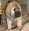 Filename=jeff-6we.jpg
Filesize=132KiB
Dimensions=458x482
Date added=%411 %04, %2008 jeff-6we.jpg