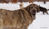 Filename=jenny,spol.jpg
Filesize=143KiB
Dimensions=958x591
Date added=%545 %04, %2010 jenny,spol.jpg