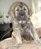 Filename=jenny-6wa.jpg
Filesize=117KiB
Dimensions=405x482
Date added=%788 %03, %2008 jenny-6wa.jpg