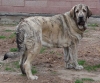 Filename=jenny-nearly16m.jpg
Filesize=110KiB
Dimensions=647x539
Date added=%422 %20, %2009 jenny-nearly16m.jpg