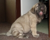 Filename=jumbo-6wd.jpg
Filesize=135KiB
Dimensions=531x425
Date added=%411 %04, %2008 jumbo-6wd.jpg