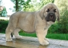 Filename=lucero-6w,.jpg
Filesize=110KiB
Dimensions=674x482
Date added=%319 %07, %2008 lucero-6w,.jpg