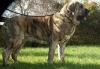 Filename=massimo-2r.JPG
Filesize=195KiB
Dimensions=776x539
Date added=%688 %02, %2011 massimo-2r.JPG