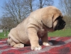 Filename=mis5,5t,.jpg
Filesize=107KiB
Dimensions=665x510
Date added=%672 %02, %2009 mis5,5t,.jpg