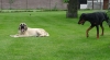 Filename=misty,2.jpg
Filesize=143KiB
Dimensions=914x510
Date added=%617 %17, %2009 misty,2.jpg