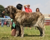 Filename=moloss-senior,.jpg
Filesize=179KiB
Dimensions=707x567
Date added=%955 %13, %2013 moloss-senior,.jpg