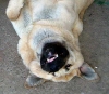 Filename=photo13.jpg
Filesize=34KiB
Dimensions=430x376
Date added=%747 %14, %2006 photo13.jpg