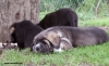 Filename=quantum-7w,0.jpg
Filesize=198KiB
Dimensions=959x591
Date added=%454 %17, %2010 quantum-7w,0.jpg