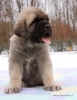 Filename=sancho-5w.jpg
Filesize=98KiB
Dimensions=547x709
Date added=%965 %18, %2012 sancho-5w.jpg