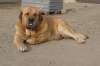 Filename=uniq-5r.jpg
Filesize=181KiB
Dimensions=687x454
Date added=%660 %29, %2008 uniq-5r.jpg