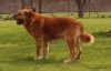 Filename=uniq-7y,.jpg
Filesize=103KiB
Dimensions=885x567
Date added=%581 %13, %2010 uniq-7y,.jpg