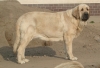 Filename=zazi-3r.jpg
Filesize=145KiB
Dimensions=663x454
Date added=%659 %29, %2008 zazi-3r.jpg