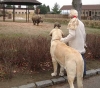Filename=zazi_in_zoo4.jpg
Filesize=60KiB
Dimensions=515x454
Date added=%722 %25, %2006 zazi_in_zoo4.jpg