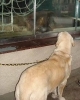 Filename=zazi_in_zoo7.jpg
Filesize=34KiB
Dimensions=338x420
Date added=%714 %25, %2006 zazi_in_zoo7.jpg