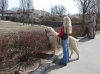 Filename=zoo08-zazi.jpg
Filesize=234KiB
Dimensions=643x482
Date added=%342 %02, %2008 zoo08-zazi.jpg