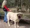 Filename=zoo08-zazi1.jpg
Filesize=198KiB
Dimensions=545x510
Date added=%342 %02, %2008 zoo08-zazi1.jpg