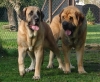 Filename=zula,frenky3.jpg
Filesize=157KiB
Dimensions=553x454
Date added=%867 %25, %2007 zula,frenky3.jpg