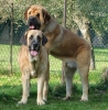 Filename=zula,frenky4.jpg
Filesize=172KiB
Dimensions=477x482
Date added=%867 %25, %2007 zula,frenky4.jpg