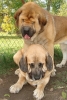 Filename=zula,frenky7.jpg
Filesize=111KiB
Dimensions=323x482
Date added=%867 %25, %2007 zula,frenky7.jpg