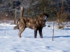 Filename=flashy1.jpg
Filesize=62KiB
Dimensions=800x600
Date added=%803 %18, %2006 flashy1.jpg