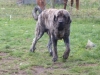 Filename=le_21_aout_2004_003.jpg
Filesize=85KiB
Dimensions=640x480
Date added=%850 %18, %2006 le_21_aout_2004_003.jpg